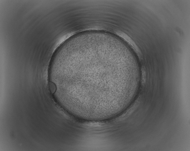 X0000116480834200912292044