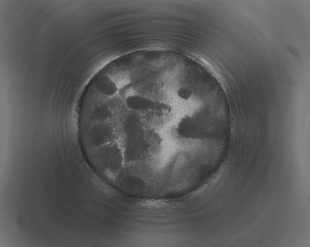 X0000116480835200912292044