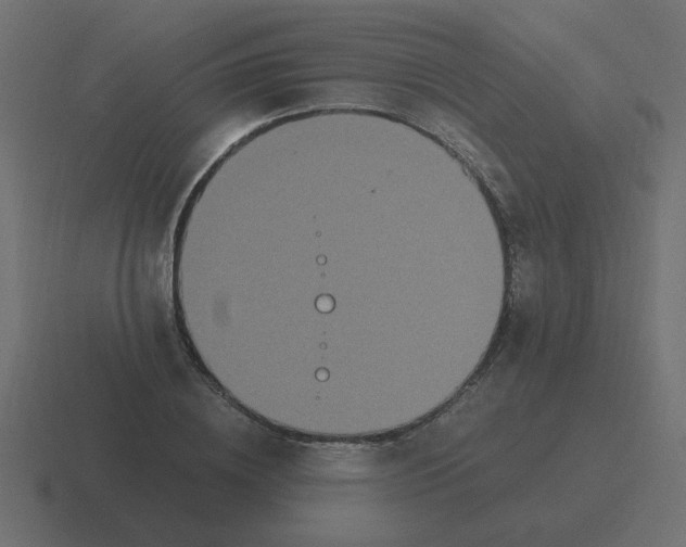 X0000116480836200912292044