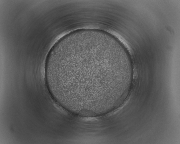 X0000116480837200912292044