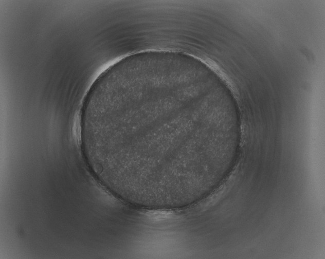 X0000116480838200912292044