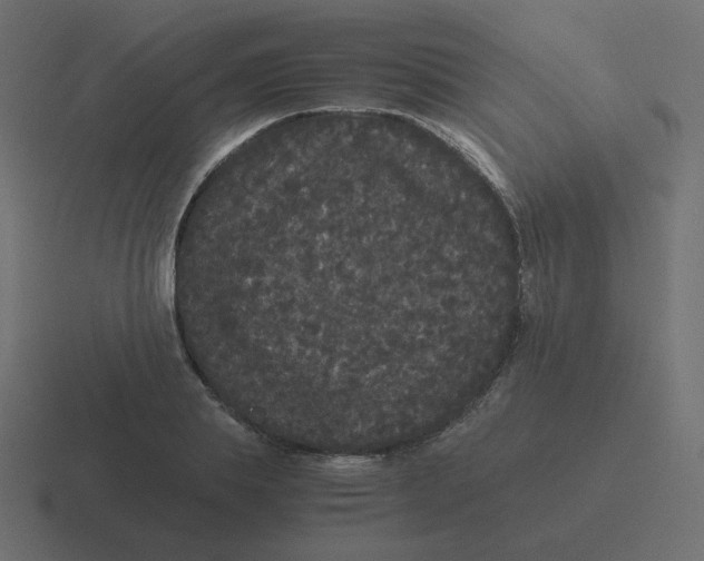 X0000116480839200912292044