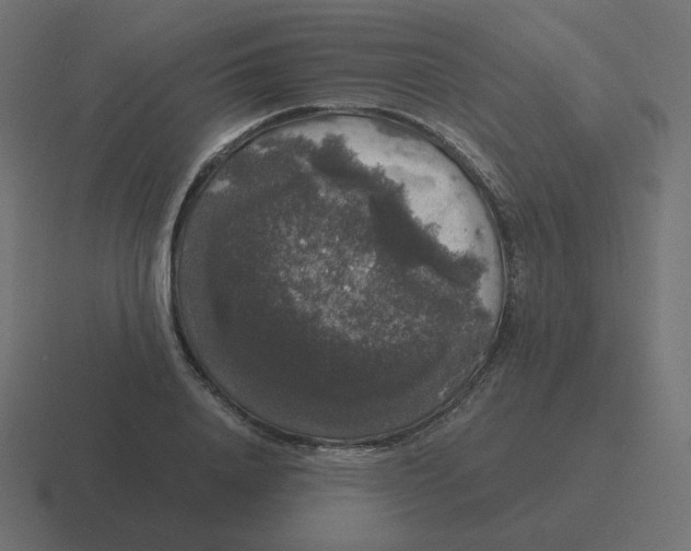 X0000116480840200912292044