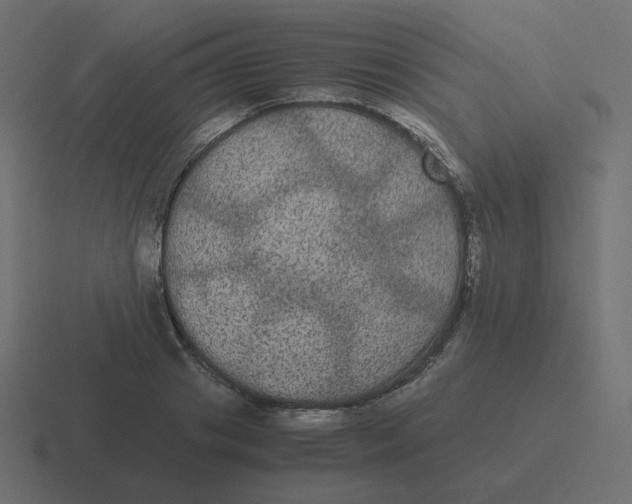 X0000116480841200912292044