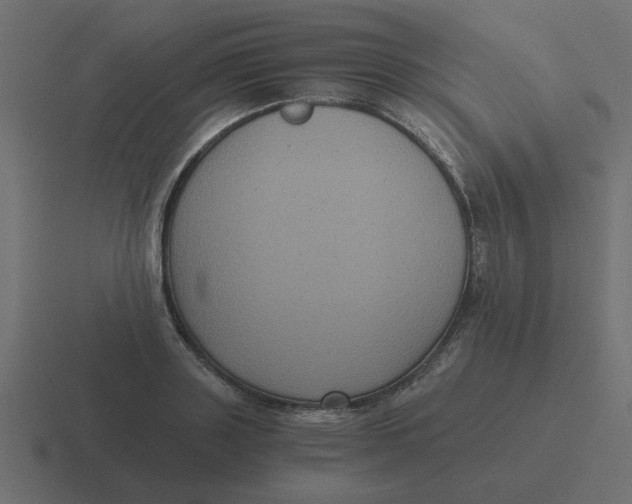 X0000116480843200912292044