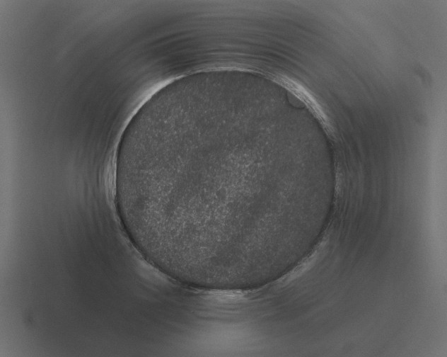 X0000116480844200912292044