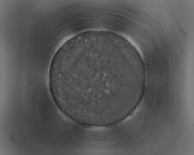 X0000116480845200912292044