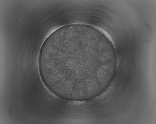 X0000116480847200912292044