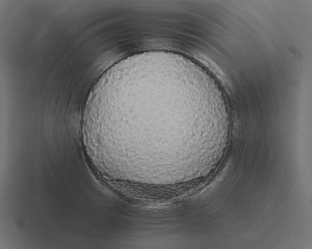 X0000116480849200912292044