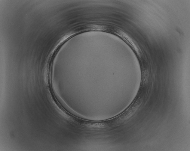 X0000116480851200912292044