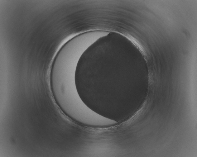 X0000116480854200912292044