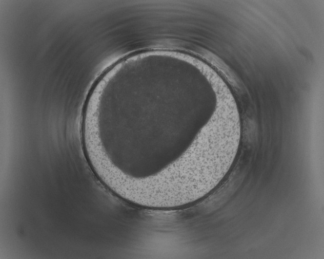 X0000116480856200912292045