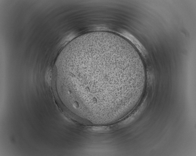 X0000116480857200912292045