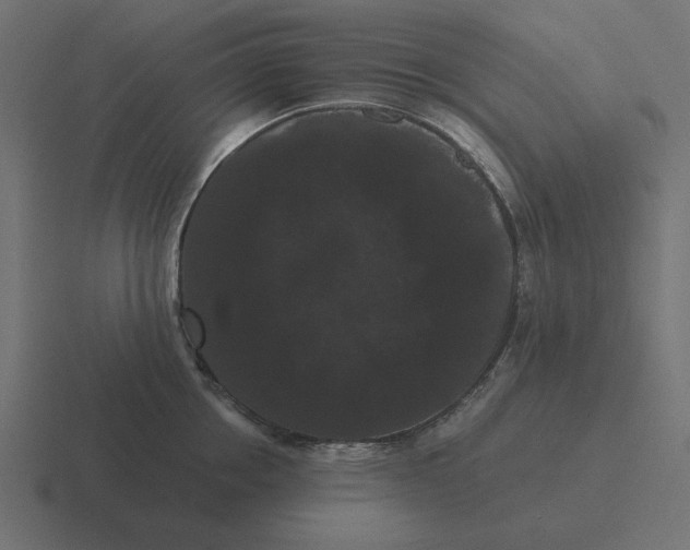 X0000116480858200912292045