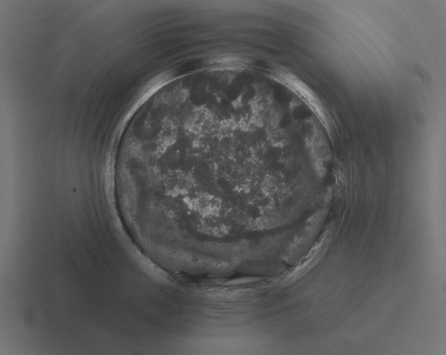 X0000116480859200912292045