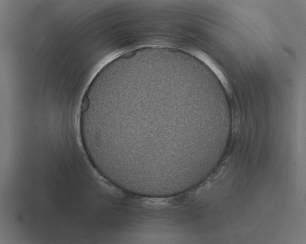 X0000116480861200912292045