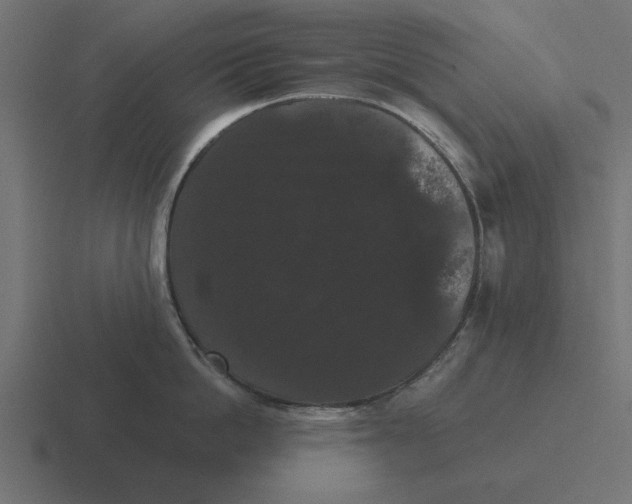 X0000116480862200912292045