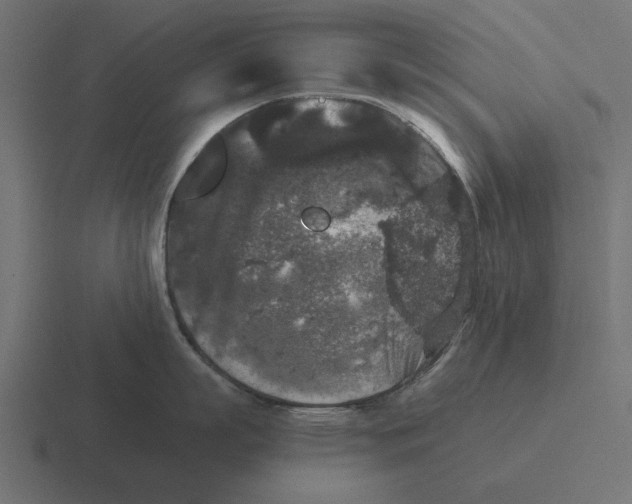 X0000116480863200912292045