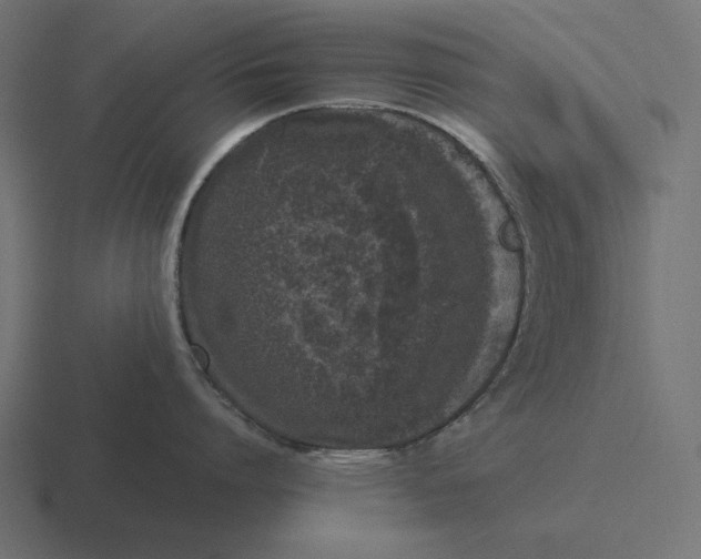 X0000116480864200912292045