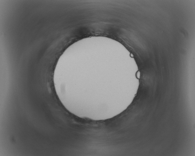 X0000116480865200912292044