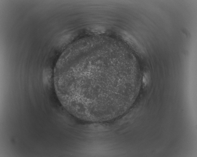 X0000116480867200912292044