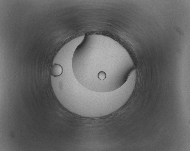 X0000116480868200912292044