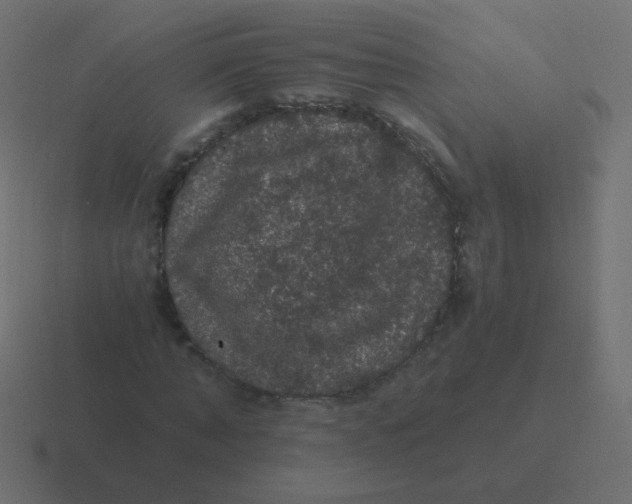 X0000116480870200912292044