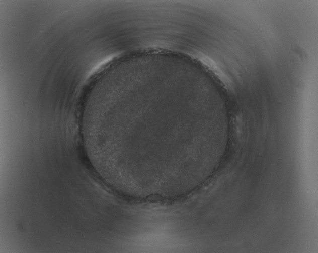 X0000116480872200912292044