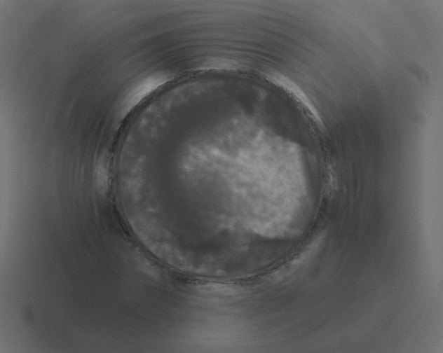 X0000116480874200912292044