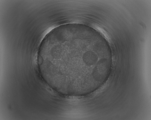 X0000116480875200912292044