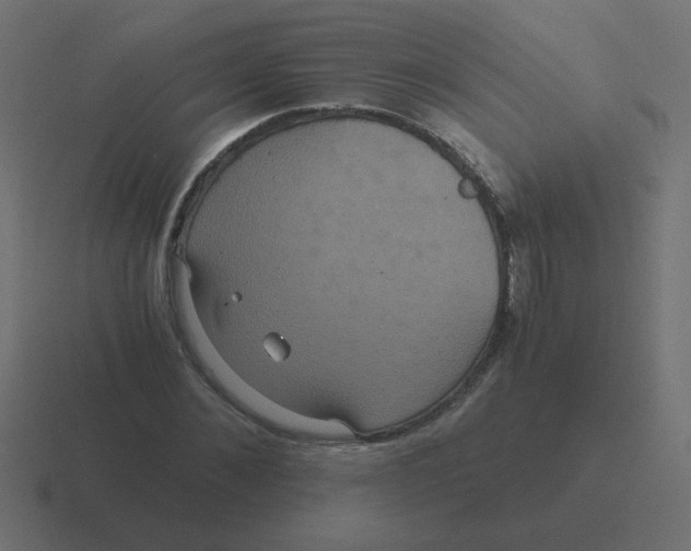 X0000116480876200912292044