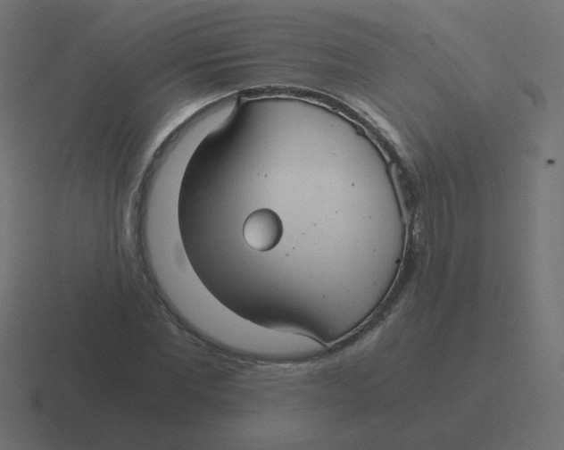 X0000116480877200912292044