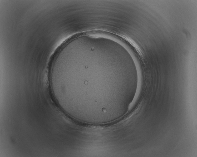 X0000116480878200912292044