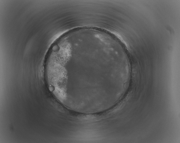 X0000116480879200912292044