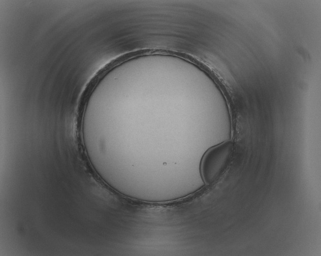 X0000116480880200912292044