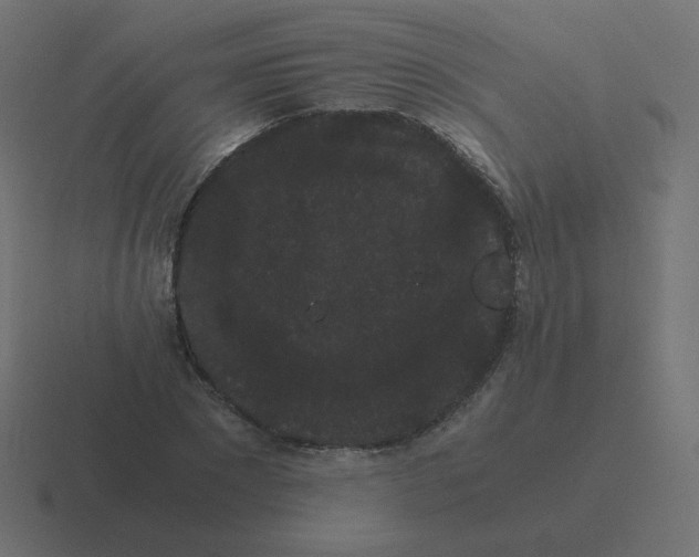 X0000116480881200912292044