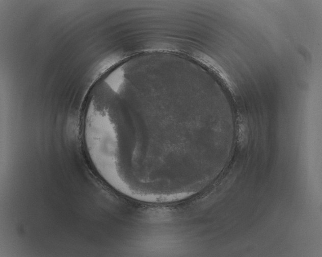 X0000116480882200912292044