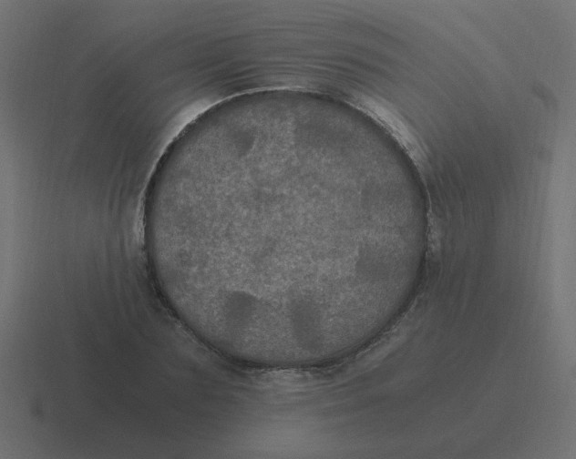 X0000116480883200912292044