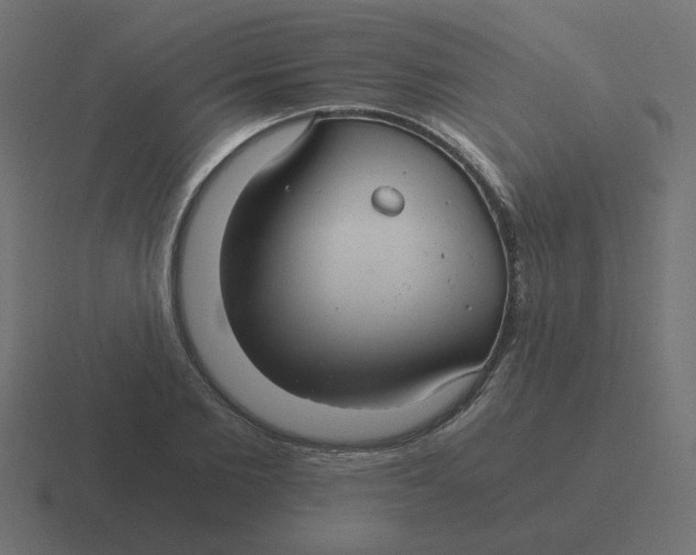 X0000116480885200912292044