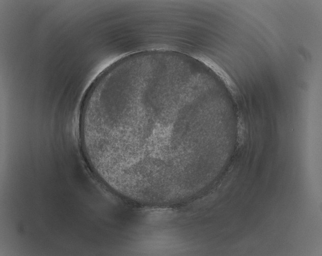 X0000116480886200912292044