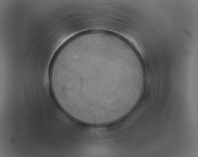 X0000116480887200912292044