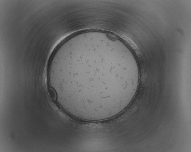 X0000116480888200912292044