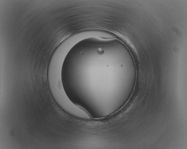 X0000116480889200912292044