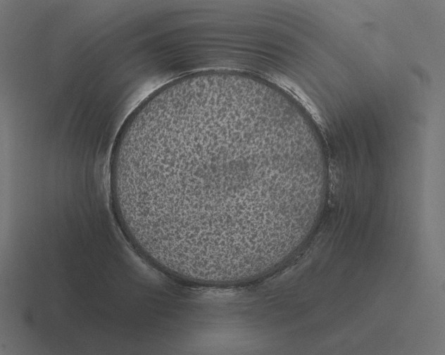 X0000116480890200912292044