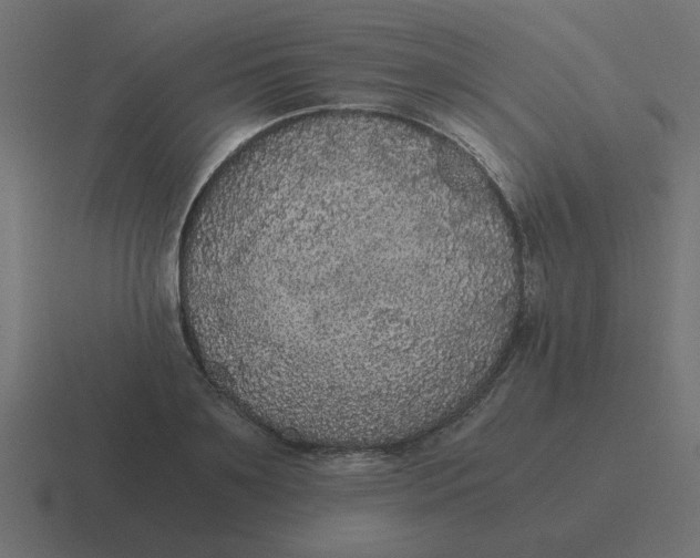 X0000116480891200912292044