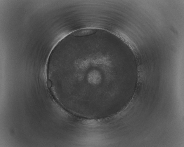 X0000116480892200912292044