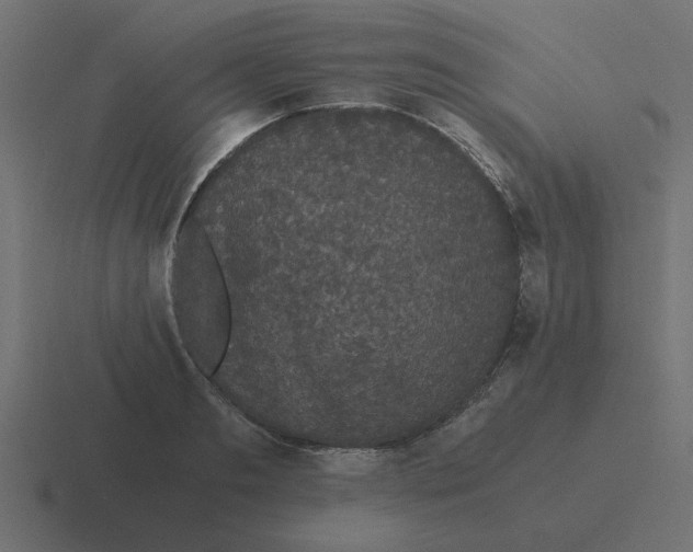 X0000116480893200912292044