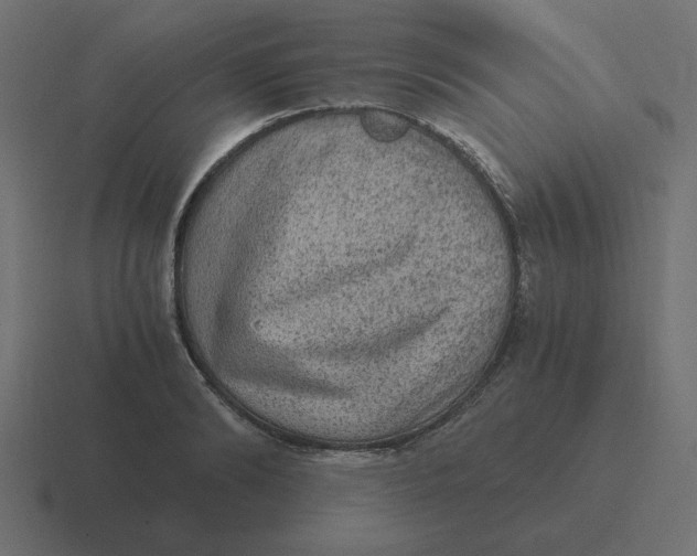 X0000116480894200912292044