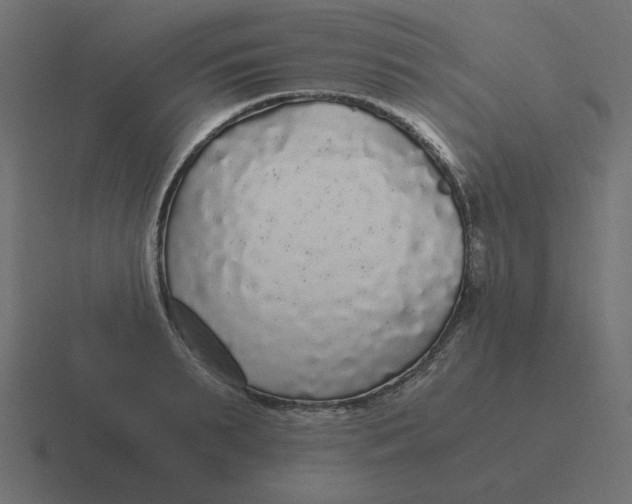 X0000116480895200912292044