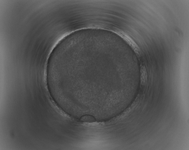 X0000116480896200912292044